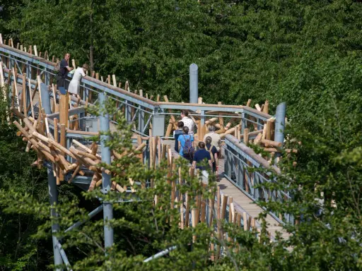 Menschen spazieren auf dem baumwipfelpfad Bad Iburg, umgeben von üppigem Grün.