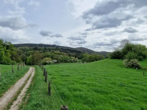 Ein schmaler Weg führt durch saftig grüne Wiesen und Wälder. Der bergweltenweg Steinhagen lädt zum Wandern ein.