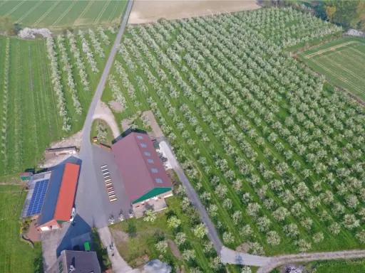 Blühende Obstplantagen bei Stromberg, Oelde. Ein Hof mit Solaranlage und Lagerhallen inmitten von Reihen von Obstbäumen.