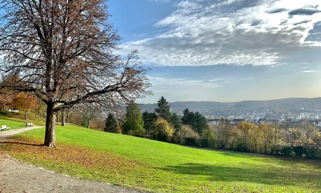 Herbstlicher Blick über den **Nordpark Wuppertal** mit einem kahlen Baum im Vordergrund und der Stadt im Tal.