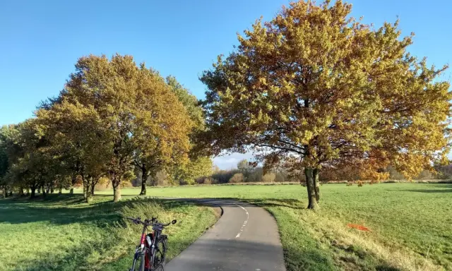 Fahrrad steht am Beginn einer asphaltierten Herford Route, gesäumt von Bäumen mit goldenem Herbstlaub.