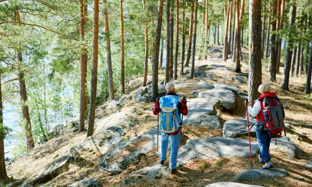 Wiehengebirge wandern - Dein Guide für perfekte Touren