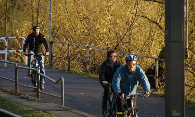 Radfahrer genießen den welt fahrrad tag auf einem sonnigen Weg.