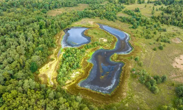 Luftaufnahme eines naturbelassenen **witte venn** mit dunklen Wasserflächen, umgeben von üppigem Grün und Bäumen.