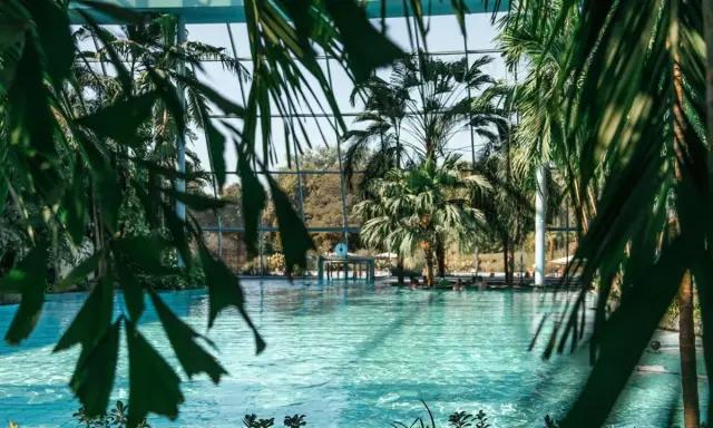 Tropisches Paradies zum **Schwimmen in NRW**. Palmen und türkisfarbenes Wasser unter einem Glasdach.