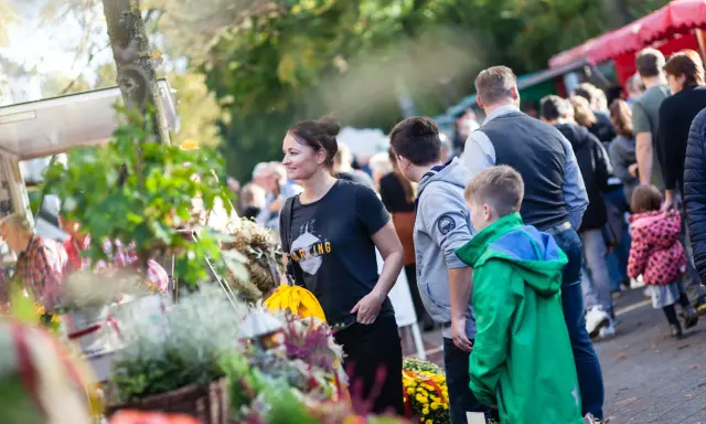 Menschen genießen bunte Veranstaltungen in OWL. Ein Markt mit Blumen und Ständen lockt Besucher an.