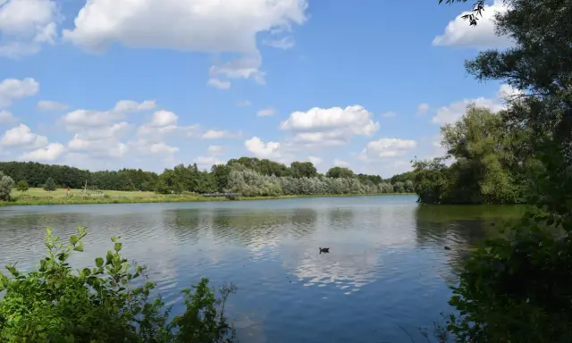 Ein ruhiger Fluss bei Bielefeld, gesäumt von grünen Bäumen und bewölktem Himmel. Enten schwimmen auf dem Wasser.