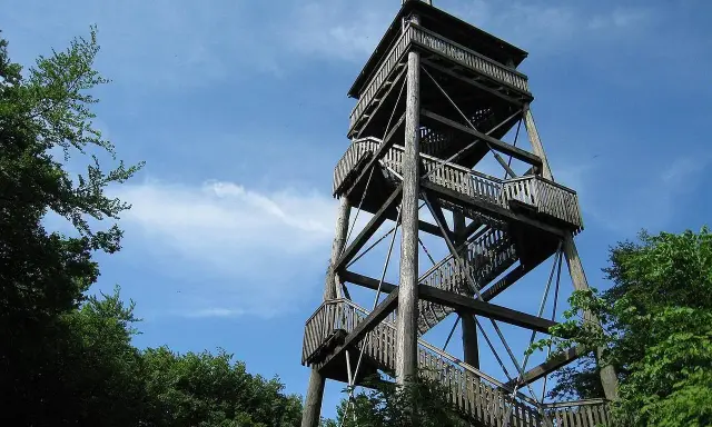 Holzturm mit vielen Stufen und Aussichtsplattformen, der Luisenturm in Borgholzhausen ragt in den blauen Himmel.