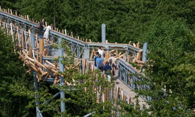 Menschen spazieren auf dem baumwipfelpfad Bad Iburg, umgeben von üppigem Grün.