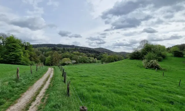Ein schmaler Weg führt durch saftig grüne Wiesen und Wälder. Der bergweltenweg Steinhagen lädt zum Wandern ein.
