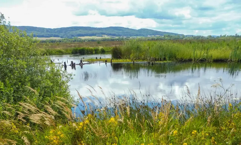 Hügelige Landschaft mit einem ruhigen Gewässer, umgeben von Schilf und Gräsern. Das Hiller Moor spiegelt den Himmel wider.