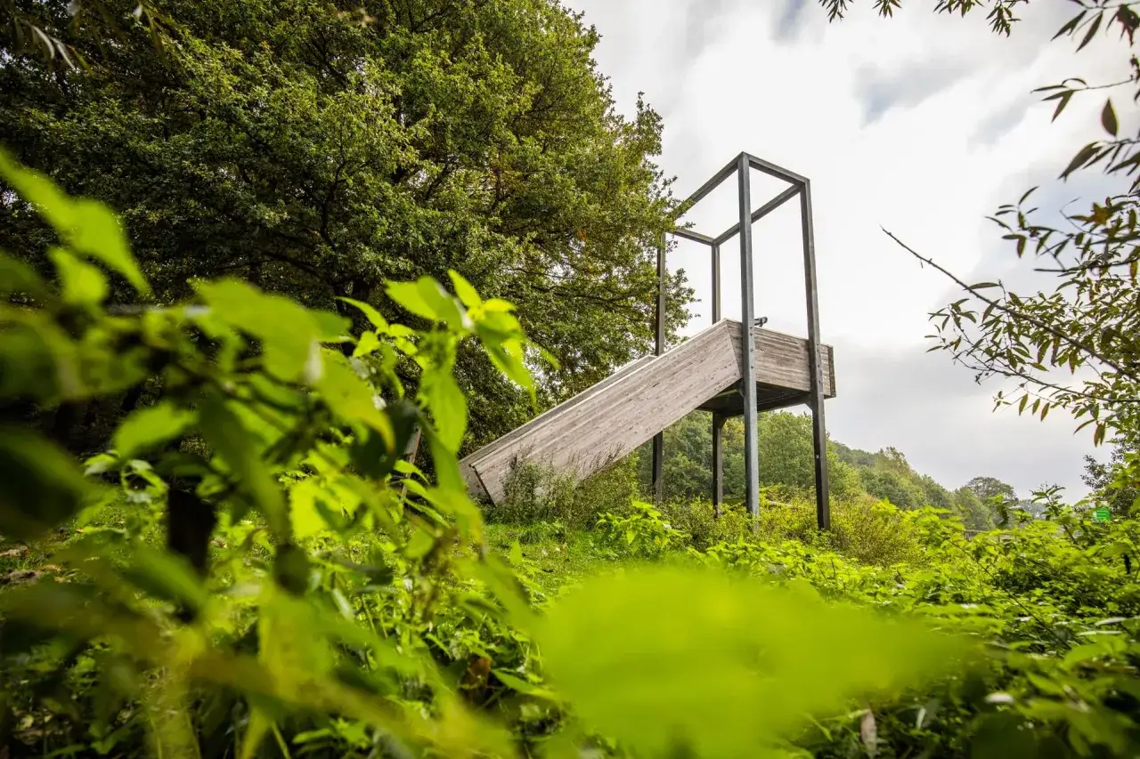 Holzkonstruktion mit Rampe und Aussichtsplattform auf der Planwiese Telgte, umgeben von &uuml;ppigem Gr&uuml;n.