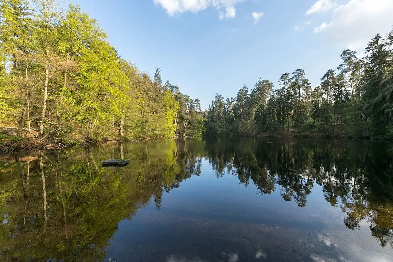 Ein ruhiger See spiegelt den gr&uuml;nen Wald und den blauen Himmel wider. Ein kleiner, hiddeser bent schwimmt auf dem Wasser.