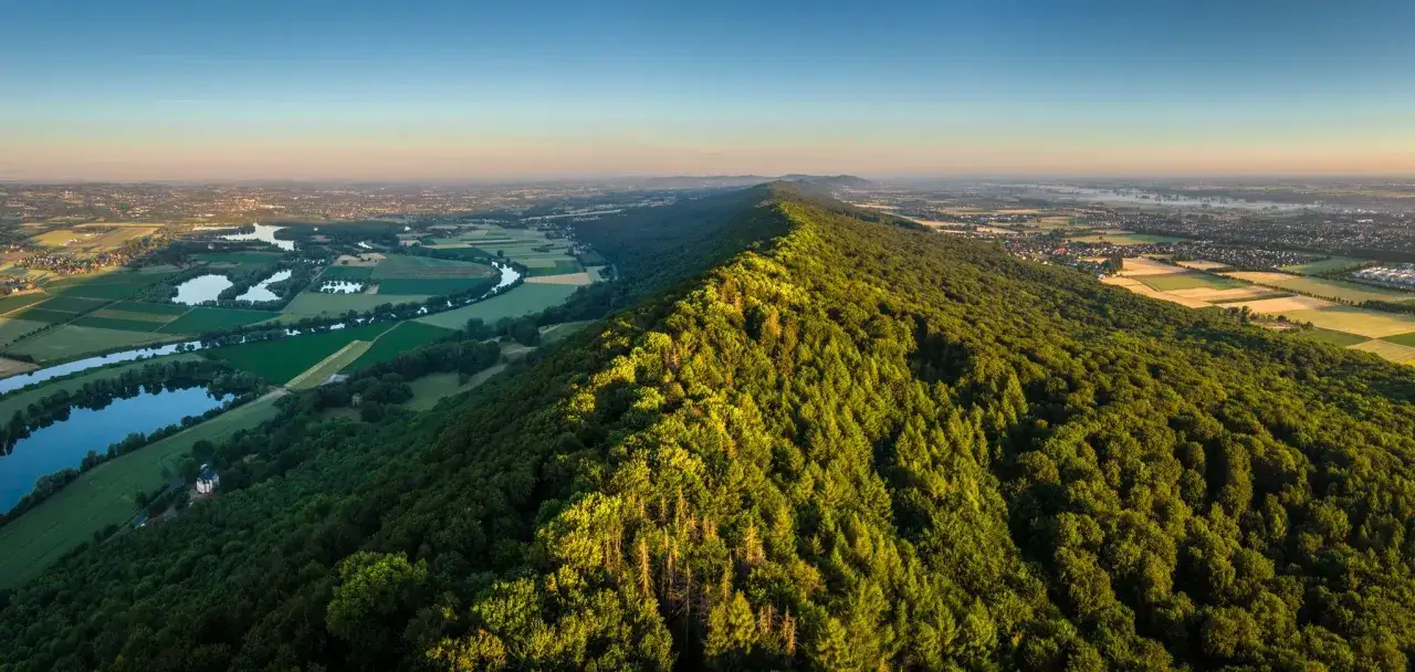 Grüner, bewaldeter Kamm des Teutoburger Waldes im Abendlicht, mit Flüssen und Feldern im Tal.