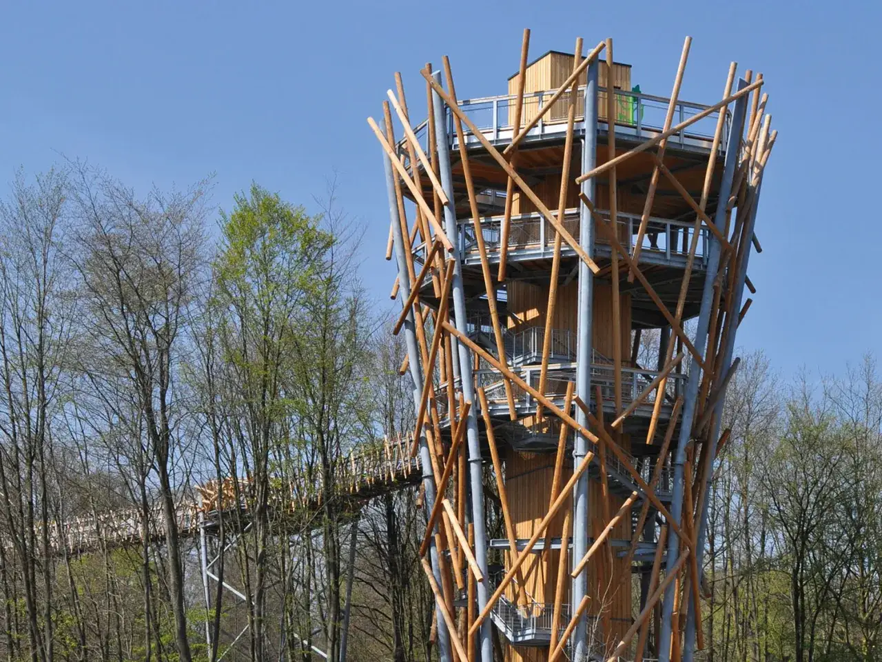 Der Baumwipfelpfad Bad Iburg mit seinem markanten Holzturm bietet einen einzigartigen Blick über die Baumkronen.