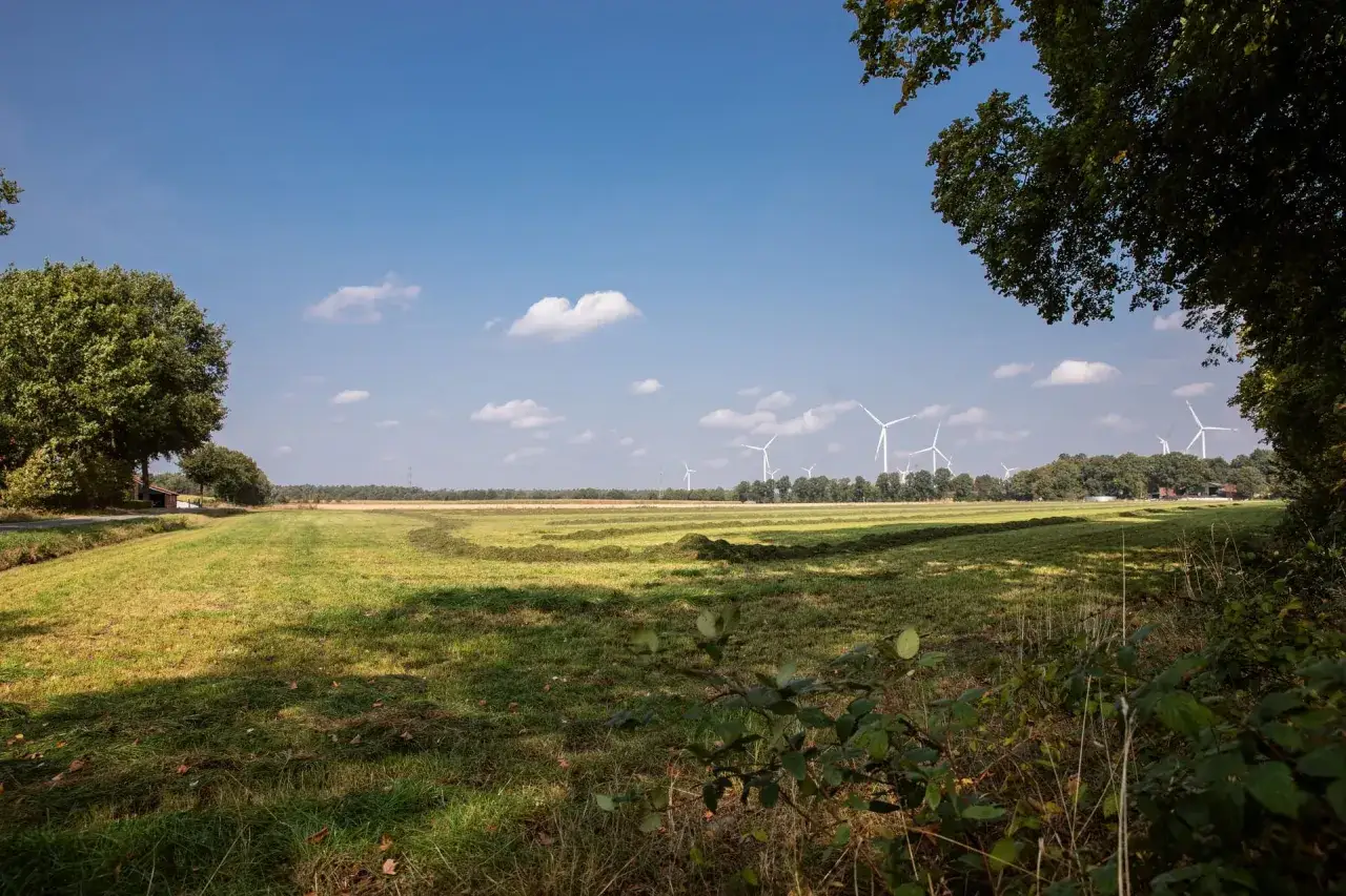 Weite Felder mit frisch gem&auml;htem Gras und Windr&auml;dern im Hintergrund, typisch f&uuml;r die Gemeinde Wettringen.