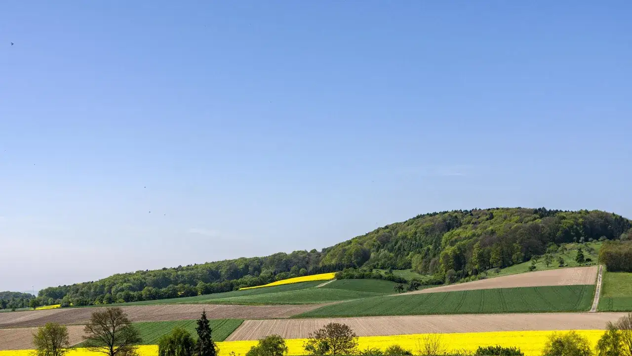 Bunte Felder erstrecken sich am Fu&szlig;e des bewaldeten Stemweder Berges unter einem strahlend blauen Himmel.