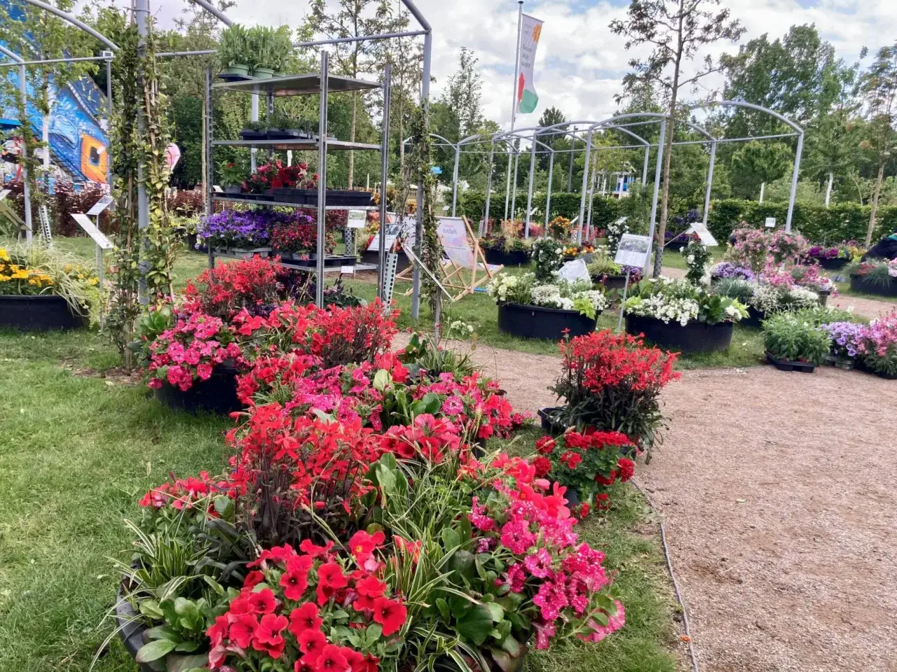 Bunte Blumenpracht auf der Landesgartenschau NRW. Eine Liste der Pflanzen w&auml;re hier toll!