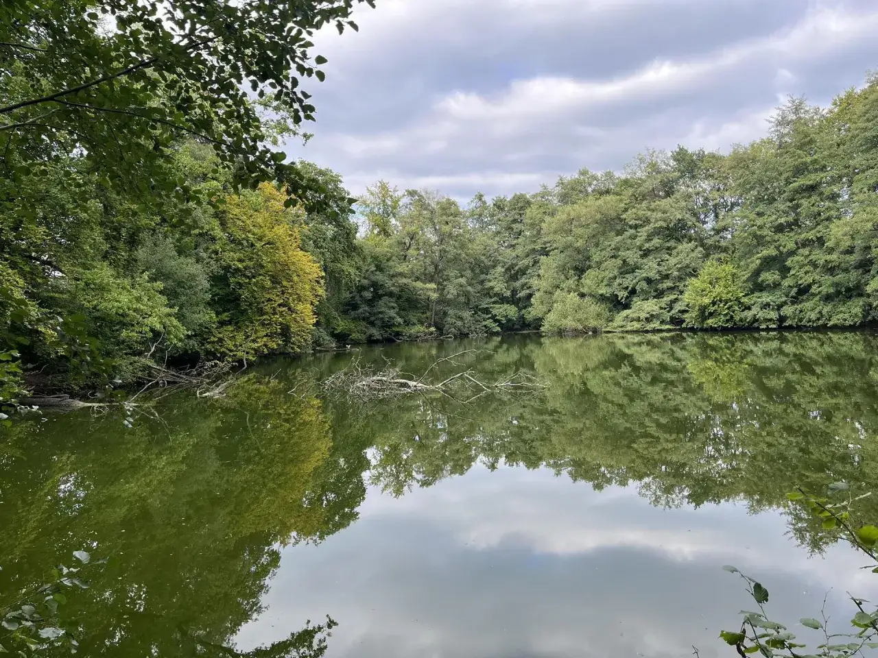 Gr&uuml;ner See mit Baumspiegelung, ein ruhiger Ort nahe Bielefeld.