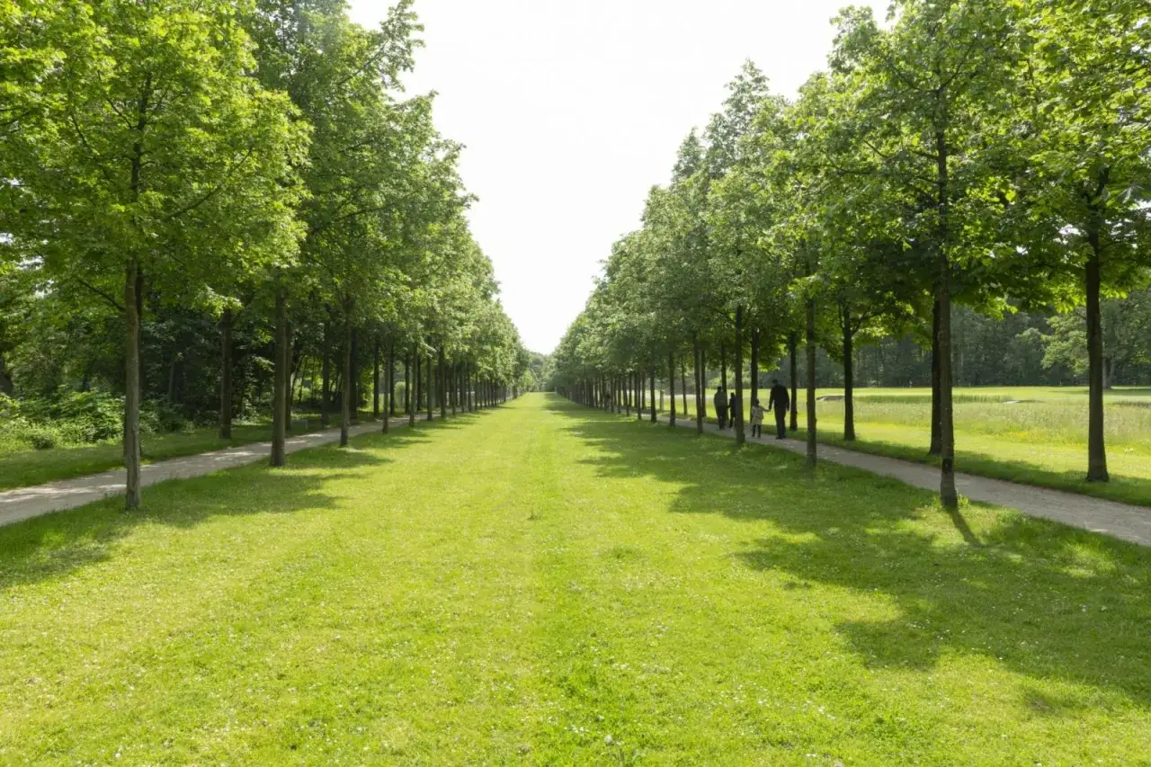 Allee mit Bäumen und Rasenflächen, ein Weg führt in die Ferne. Eine Familie spaziert im Bagno Steinfurt.