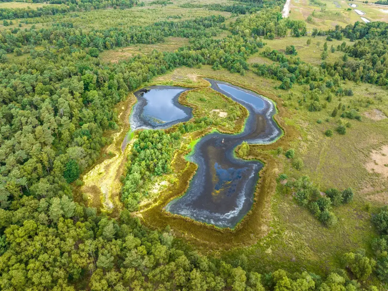 Luftaufnahme eines naturbelassenen witte venns mit dunklen Wasserfl&auml;chen, umgeben von &uuml;ppiger Vegetation und W&auml;ldern.