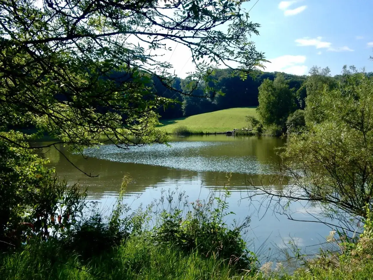 Idyllische Landschaft rund um Heiligenhaus: Ein ruhiger See spiegelt den blauen Himmel und gr&uuml;ne H&uuml;gel wider, umrahmt von &uuml;ppigem Gr&uuml;n.
