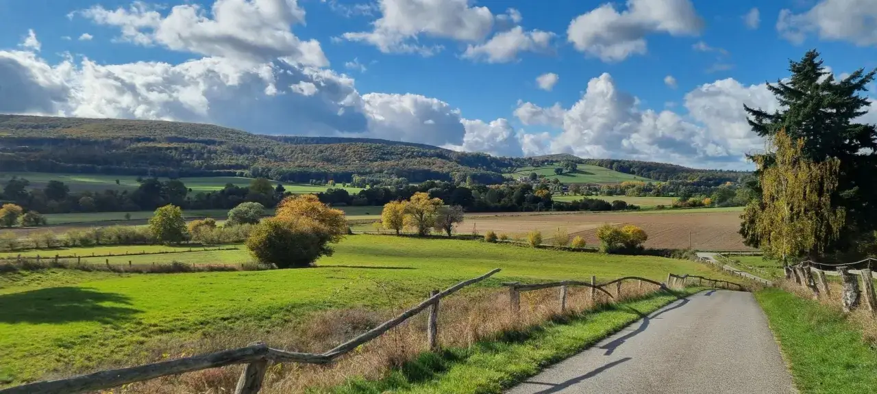Ein asphaltierter Weg schlängelt sich durch eine grüne Landschaft mit Feldern und Bäumen im Herbstlaub. Der Emmer Radweg lädt zu einer entspannten Tour ein.
