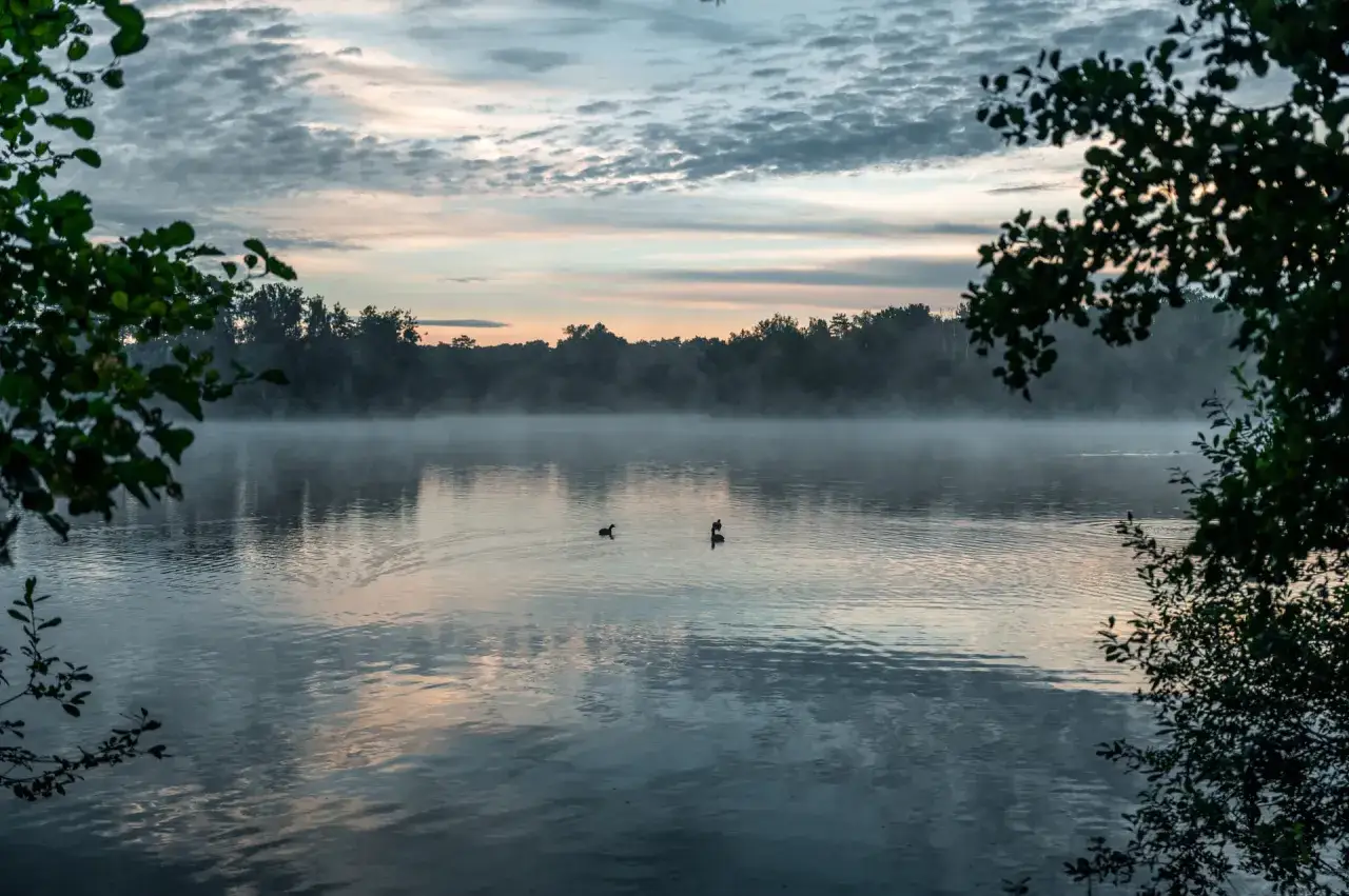 Nebel steigt vom See auf, zwei Enten schwimmen im ruhigen Wasser. Der Himmel ist mit Wolken bedeckt, die in den Farben des Sonnenuntergangs leuchten. Ein friedlicher Morgen, der hohe Ward-Stimmung vermittelt.