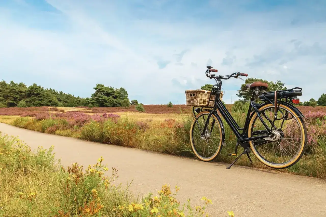 Fahrrad mit Korb am Wegesrand, bereit f&uuml;r eine 5-t&auml;gige Radreise durch Deutschland. Heide bl&uuml;ht im Hintergrund.