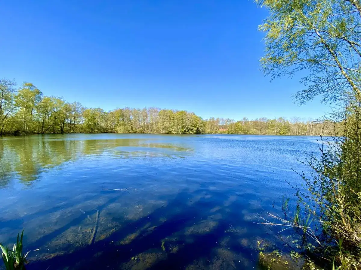 Blauer Himmel über dem Auesee Espelkamp. Bäume säumen das Ufer, das Wasser spiegelt die grüne Landschaft.