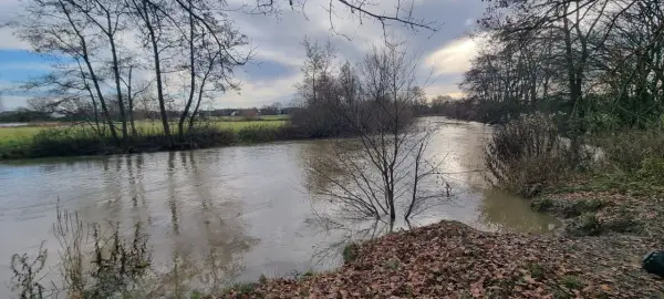 Ein schlammiger Fluss fließt durch eine herbstliche Landschaft. Der boker kanal radweg ist hier ein schöner Ort für eine ruhige Auszeit.