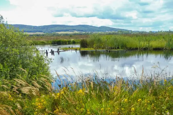 Hügelige Landschaft mit einem ruhigen Gewässer, umgeben von Schilf und Gräsern. Das Hiller Moor spiegelt den Himmel wider.