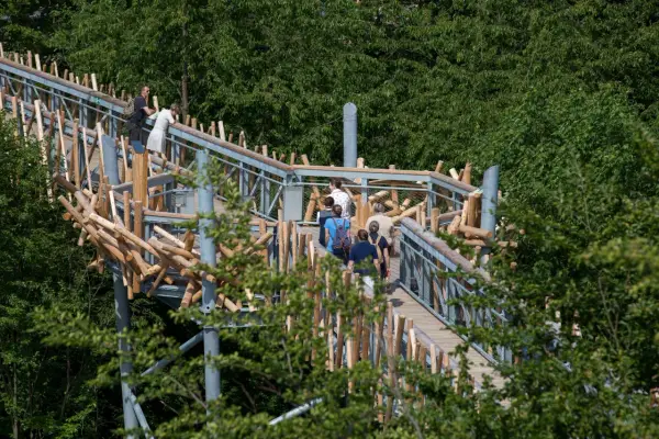 Menschen spazieren auf dem baumwipfelpfad Bad Iburg, umgeben von üppigem Grün.