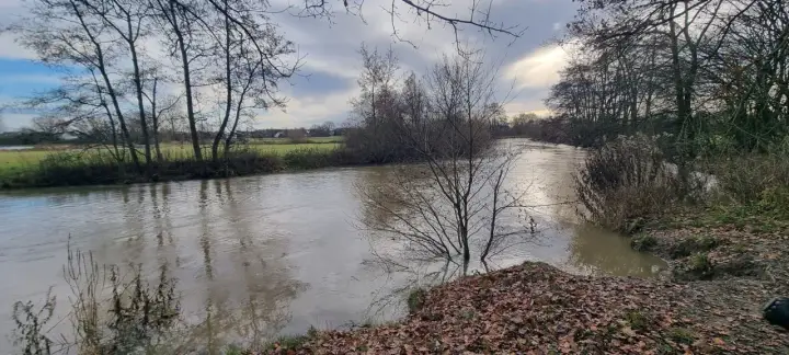Ein schlammiger Fluss fließt durch eine herbstliche Landschaft. Der boker kanal radweg ist hier ein schöner Ort für eine ruhige Auszeit.