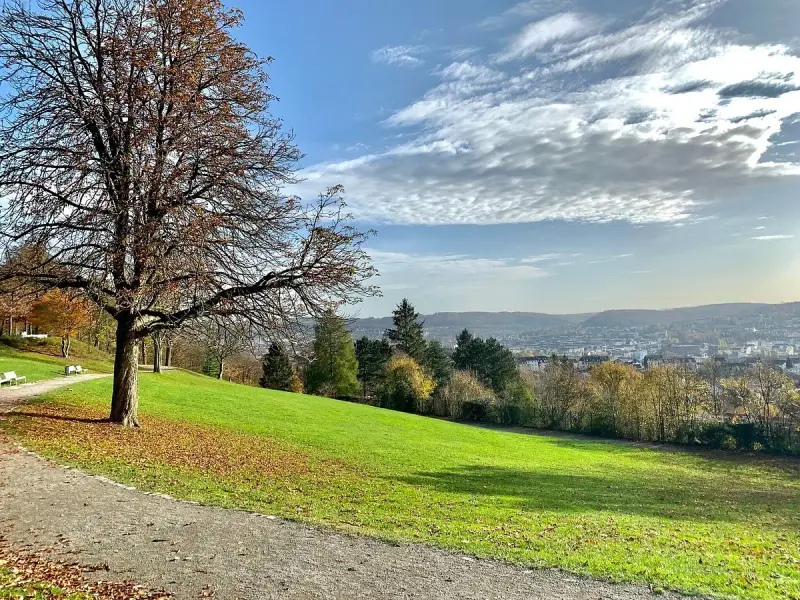 Herbstlicher Blick über den **Nordpark Wuppertal** mit einem kahlen Baum im Vordergrund und der Stadt im Tal.